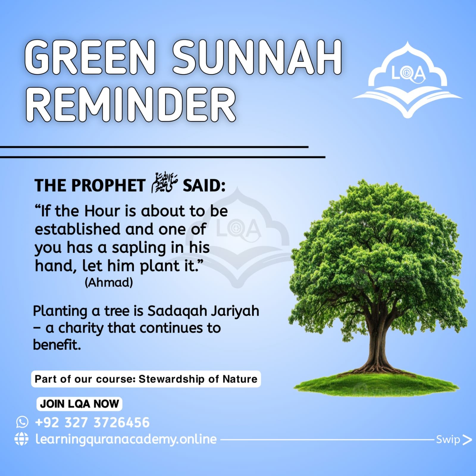Islamic Environmental Awareness Course: Protect Nature Islam 2025