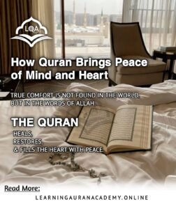 10 Quran and Peace of Mind Verses for Inner Calm Guide